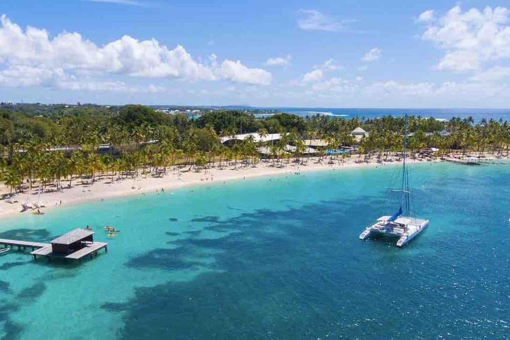 Le Sable Bleu - Evasion Tropicale A Sainte-Anne - Plage 5Min - Piscine - Parking - Logement Climatise - Vue Sur Les Palmiers - Parfait Pour Sejours En Famille Ou Entre Amis Ngoại thất bức ảnh