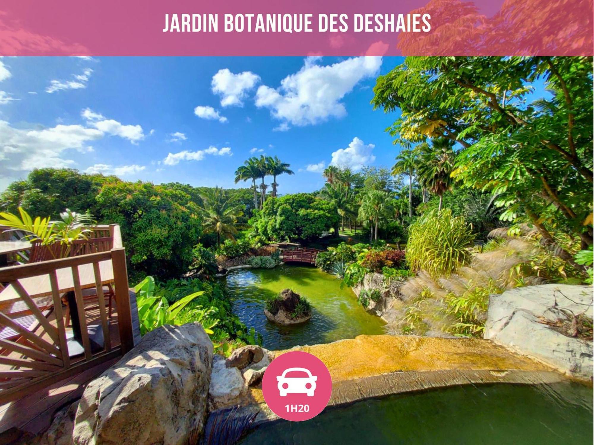 Le Sable Bleu - Evasion Tropicale A Sainte-Anne - Plage 5Min - Piscine - Parking - Logement Climatise - Vue Sur Les Palmiers - Parfait Pour Sejours En Famille Ou Entre Amis Ngoại thất bức ảnh